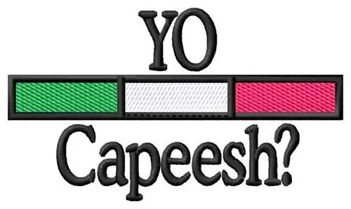 Yo Capeesh Embroidery Design Latest