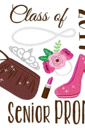 2017 Senior Prom Embroidery Design Handmade