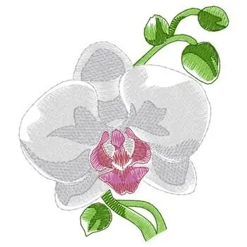 Bulk Order Orchid Embroidery Design