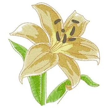 Best Seller Lily Embroidery Design