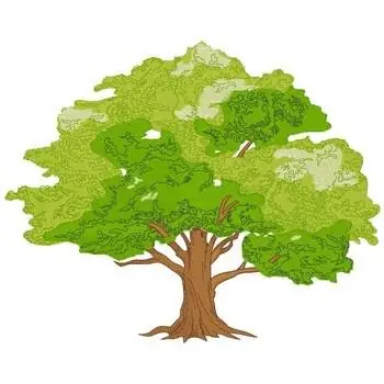 Oak Tree Embroidery Design Warranty Included