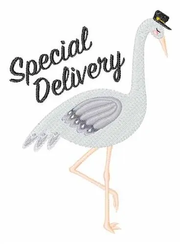Special Delivery Embroidery Design Warranty Included