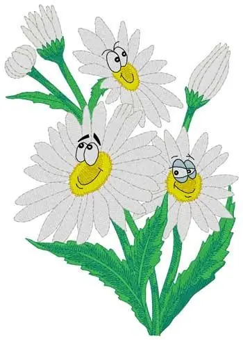 Certified Daisy Cartoon Embroidery Design