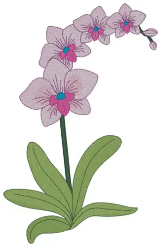 Orchid Embroidery Design Time-Limited