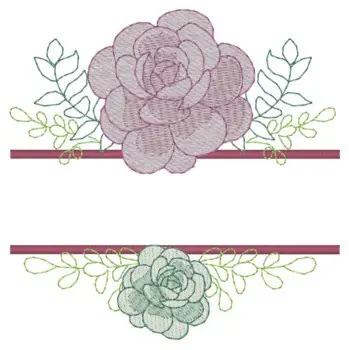 Same Day Shipping Succulents Name Drop Embroidery Design