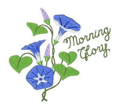 Morning Glory Embroidery Design Sale