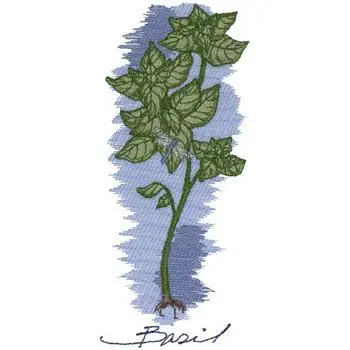 Basil Embroidery Design Budget