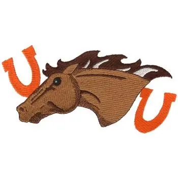 Authentic Broncos Embroidery Design