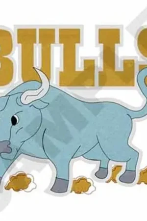 Bulls Embroidery Design Best Price
