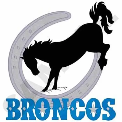 Broncos Embroidery Design Flash Sale