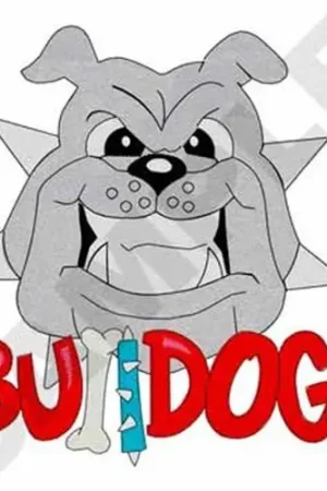 Bulldogs Embroidery Design Low Price
