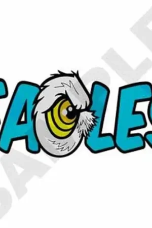 Bargain Eagles Embroidery Design