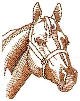 Quarter Horse Outline Embroidery Design Fresh Stock