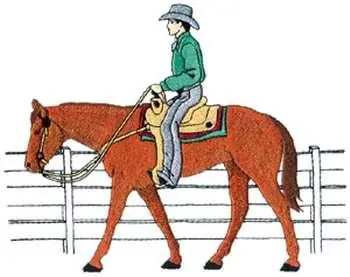Handmade Western Pleasure Embroidery Design