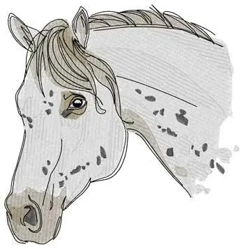 Appaloosa Head Embroidery Design No Minimum Order