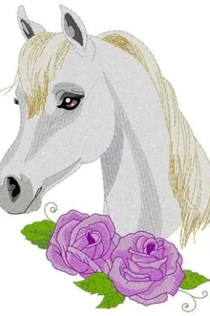 Arabian Horse Embroidery Design Fast Shipping