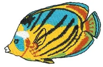 Reduced Price Butterfly Fish Embroidery Design