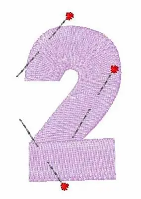 Exclusive Offer Pinned 2 Embroidery Design