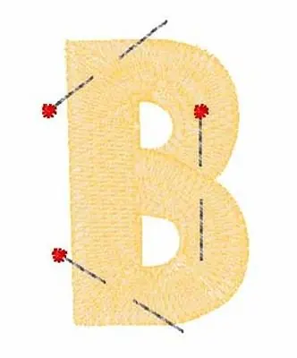 Pinned B Embroidery Design Money Back Guarantee