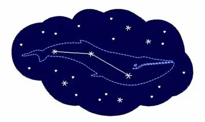 Star Whale Embroidery Design Time-Limited
