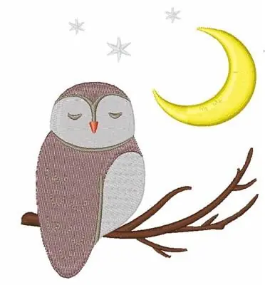 Buy Today Night Owl Embroidery Design