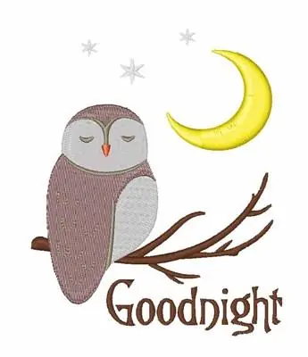 Original Goodnight Owl Embroidery Design