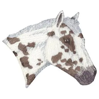 Appaloosa Head Embroidery Design New Release