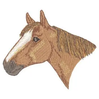 Anglo- Arab Embroidery Design Reduced Price