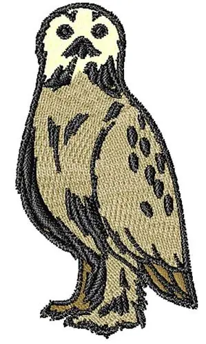Owl Embroidery Design Buy Direct