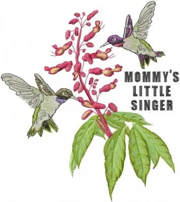 Hummingbirds Embroidery Design Special Discount
