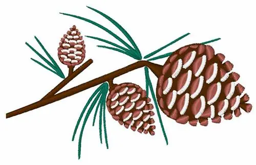 Low Price Pine Cones Embroidery Design