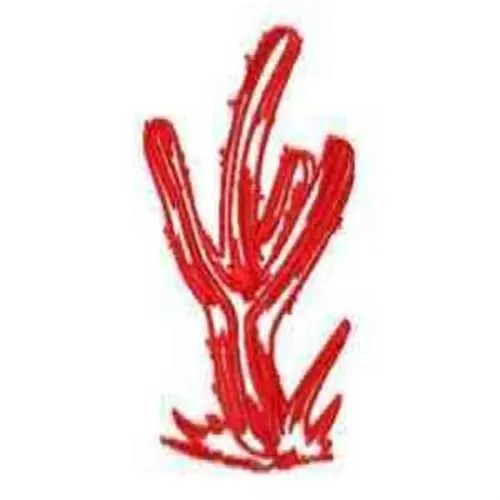 RW Cacti Embroidery Design Weekend Sale