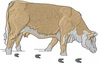 One Day Deal Cow Embroidery Design