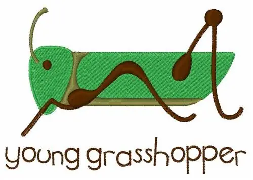 Instant Buy Young Grasshopper Embroidery Design