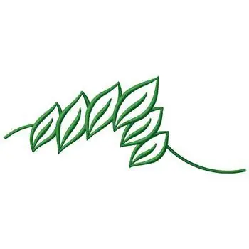 Buy Today Leaf Outline Embroidery Design