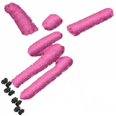No Minimum Order Rollerskater Embroidery Design