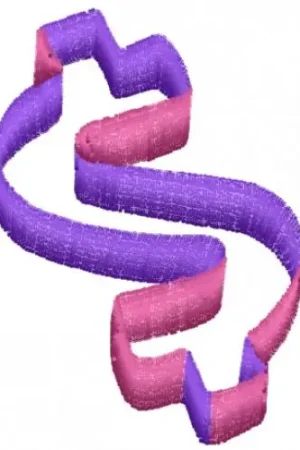 $ Sign Embroidery Design Money Back Guarantee