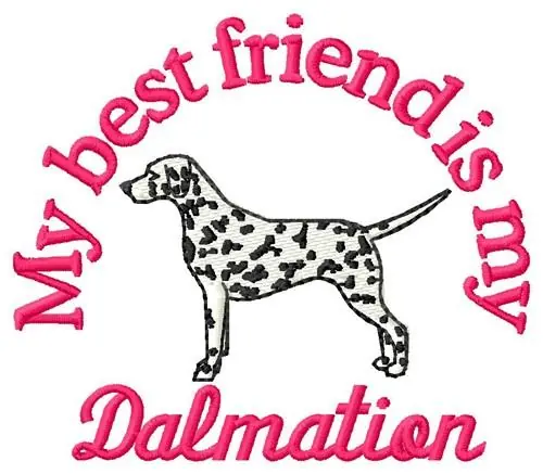 Affordable Dalmatian Friend Embroidery Design