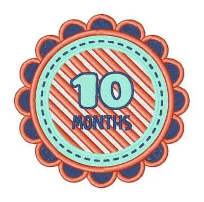 10 Months Embroidery Design Deal