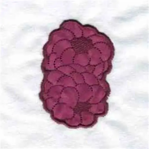 Certified Applique Raspberries Embroidery Design