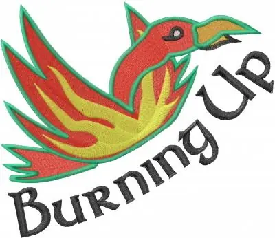 Burning Up Embroidery Design Brand New