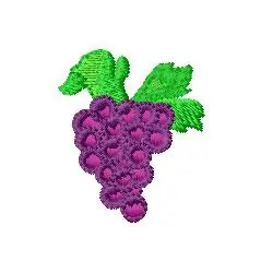 Best Price Grapes Embroidery Design