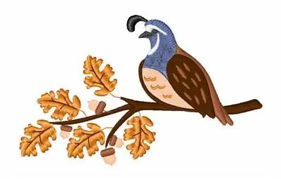 Fall Partridge Embroidery Design Don’t Miss Out