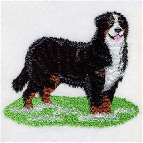 Bernese Mountain Dog Embroidery Design Today Only