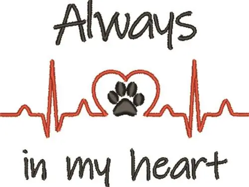 Always In My Heart Embroidery Design Original