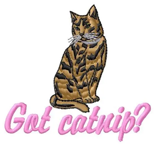 Fan Favorite Got Catnip Embroidery Design