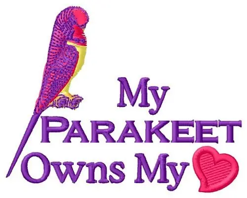 Bargain My Parakeet Embroidery Design