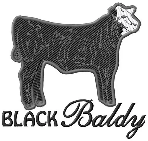 Black Baldy Embroidery Design Buy Today