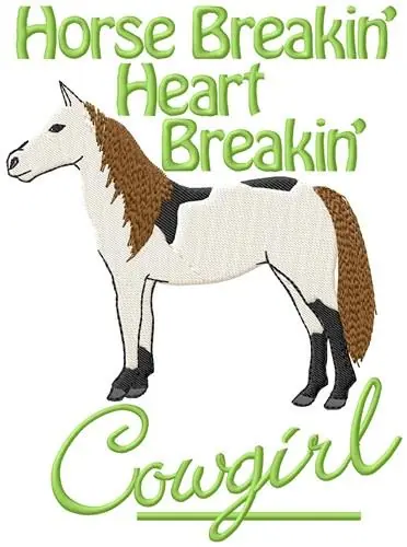 Next Day Delivery Horse Breakin Embroidery Design