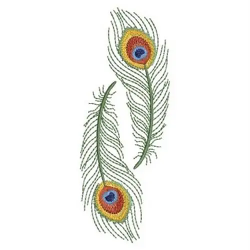 Twin Peacock Feathers Embroidery Design Today Only